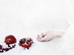 석류에 대한 단상