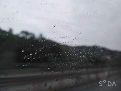 비오는 날 학생 유셒매니