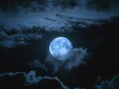 총열의 끝에서_10