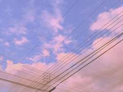 「 白鳥沢学園 高校 校則 。 」