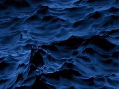 파도를 닮은 사람이여,