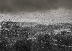 Ombrophobia_비 공포증