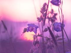 [랩홉] Glow, Fly -13