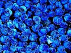 [크롬카를] 소나기, 그리고