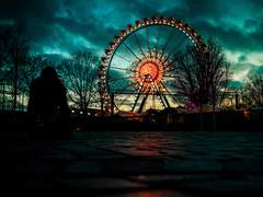 Cryptic Park, another (#01)