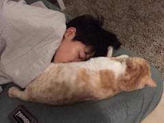 연애의 시작도 너였으면.