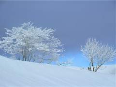 [히나른] 막장 동화나라 - 외전