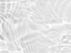 순백의 쉼터 上