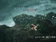 그치지 않는 비에 바치는 꽃다발을