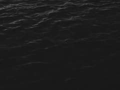 총열의 끝에서_11