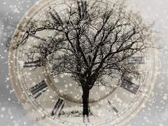 [찬백] The Neverland