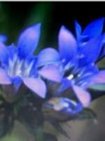 마도조사 리퀘박스