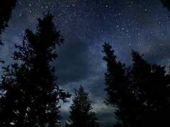 [이글다무] 맨발의 클라인 (1)