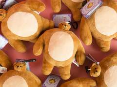 𝐌𝐚𝐭𝐭𝐲 𝐇𝐚𝐫𝐩𝐞𝐫_27_XX