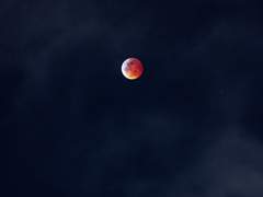 진혼 : 白鬼月行 (외전)