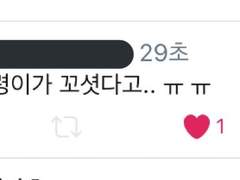 금붕어의 관통후기