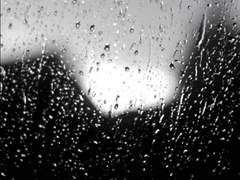 [뷔진] Kill you, Trust you, Hate you 01