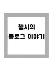 첼시의 블로그 이야기