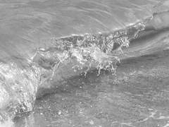 나는 여름을 사랑했다