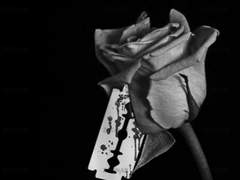 [뷔진] Kill you, Trust you, Hate you 04