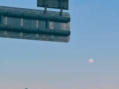 내 영혼을 새에게 띄워 보내네