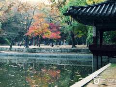 [고르기] 신비한 도술학당, 도화당 _2