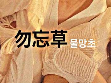 00 勿忘草 : 물망초