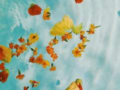 [전력/슈랩] 크리스마스에 눈이 내릴때.