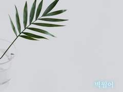 [루카마리]碧月鱼