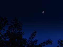 달다 님 글 커미션