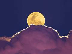 [삼국지톡] DREAM CHARACTER