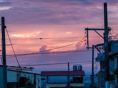 총운 (일반인) 사주 커미션 관련 공지글