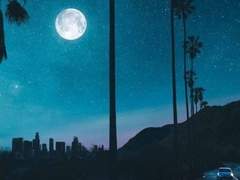 [워린리아] 검은색 레몬 사탕