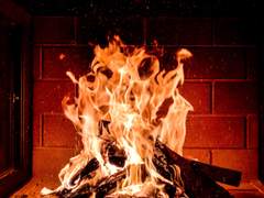 윤중청자/윤중구청] 오메가버스