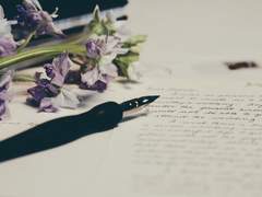 5학년 방학의 너에게.