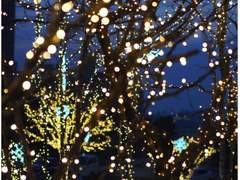 [국뷔]일렁이는