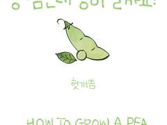 [베른플란] 콩 심은데 콩이 날까요?