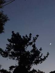 연성 모음(그림백업)