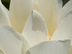 [희신강징] 애상(哀傷) 10