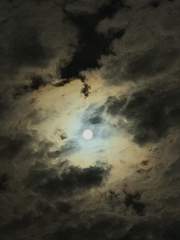 꿈이라면 깨어나지 않기를 바래요