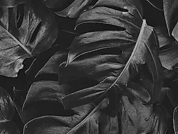 여름의 끝 : 그리고 가을의 시작