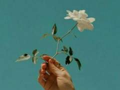 어디 한 번 소리 쳐 봐라.