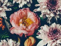 당신께 바칩니다.