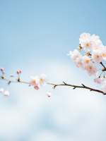 30일 단문 연성 챌린지