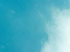 알레이나 로페즈