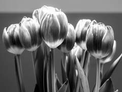 가치 있는 환상