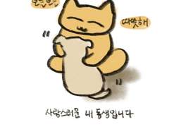 나이든 강아지와 살고 있습니다