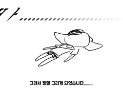 리코타 관통후기-1