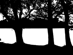 [LOH] 프라우 레망은 -----이다.