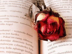 [백요한/31/공개프로필]